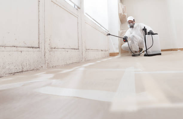 24/7 Emergency Crawl Space Mold Removal experts in Springfield, KY