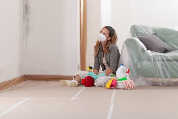 Reliable Crawl Space Mold Removal contractor in Springfield, KY by WQB Mold Removal