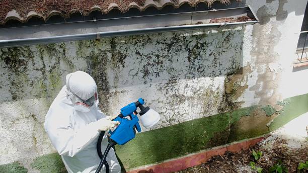 Top rated local Crawl Space Mold Removal specialists in Springfield, KY